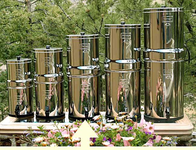 Royal Berkey System