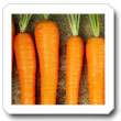 Non-Hybrid Carrot