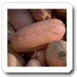 Non-Hybrid Squash, Pink Banana