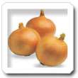 Non-Hybrid Yellow Onion
