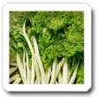 Non-Hybrid Swiss Chard, Lucullus