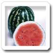 Non-Hybrid Watermelon