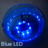 BerkeyLightBlueBase