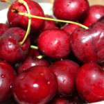 How And Why To Plant Fruit Trees In The Fall