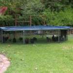 Trampoline Chicken Coop