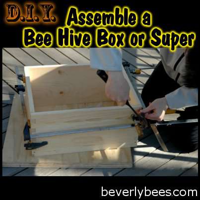 DIY Assemble Beehouse or Super