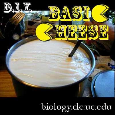 DIY Basic Cheese