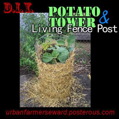 DIY Potato Tower & Living Fence Post