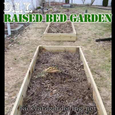 DIY Raised Bed Garden from Wood