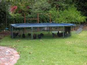 trampoline chicken coop