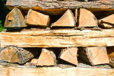 How to Properly Store and Season Firewood