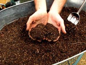 Composting Basics