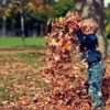 boy playing in pile of leaves