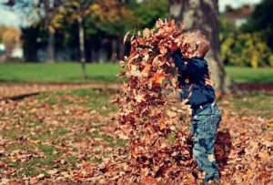 boy playing in pile of leaves