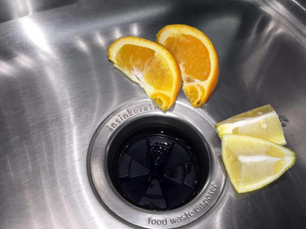 citrus-disposal