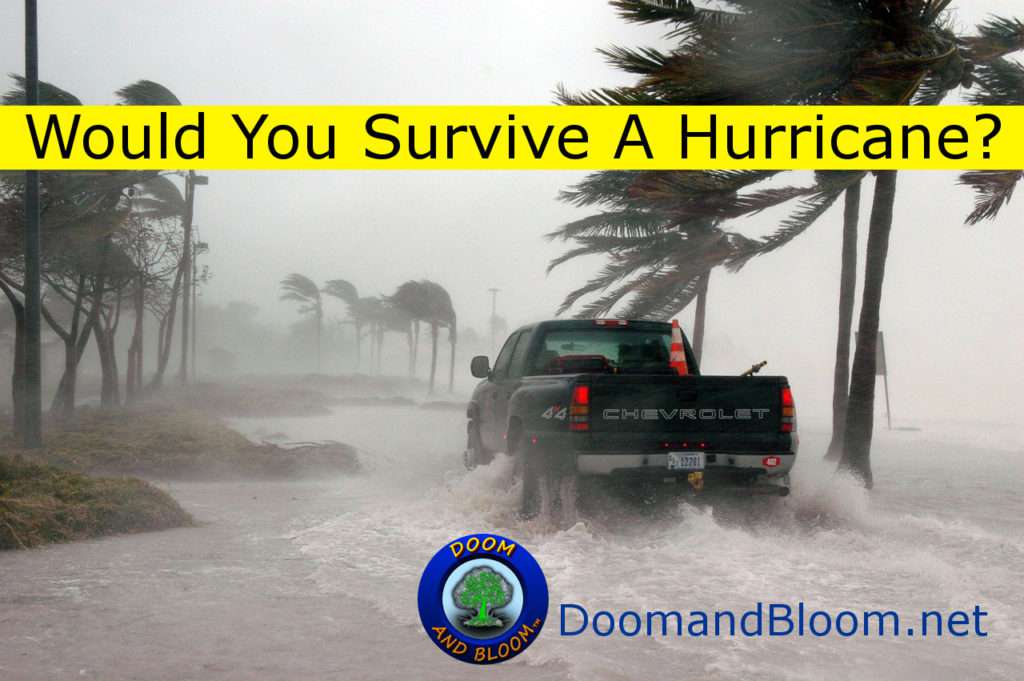 hurricane-survival