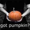 got pumpkin?