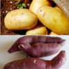 DIY potatoes, sweet potatoes