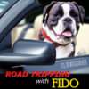 LPC-ultimate-guide-to-roadtripping-with-your-dog-clawguard