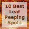 LPC-10-best-leaf-peeping-spots