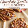 LPC-Chocolate-Turtle-Apple-Slices-momlovesbaking