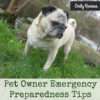 LPC-pet-owner-emergency-preparedness-tips
