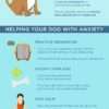 LPC-Understanding-Anxiety-in-Your-Dog-Infographic-reedanimalhospital