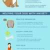 Understanding Your Dog’s Anxiety LPC-Understanding-Anxiety-in-Your-Dog-Infographic-reedanimalhospital