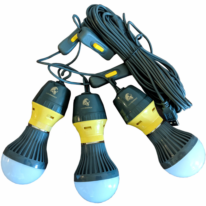 3 LED Light Bulb String - LPC Survival